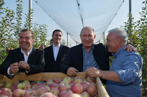 الرئيس فلاديمير بوتين ورئيس الوزراء الروسي دميتري مدفيديف أثناء زيارة عمل إلى الحقل الزراعي راسفيت ستافروبل الروسية 9 أكتوبر/ تشرين الأول 2018 - سبوتنيك عربي