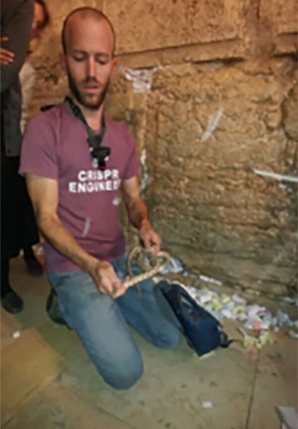 ثعبان يخيف زوار حائط المبكى بالقدس - سبوتنيك عربي