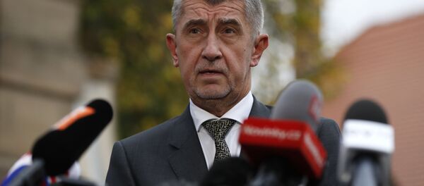 رئيس وزراء التشيك، أندريه بابيش - سبوتنيك عربي