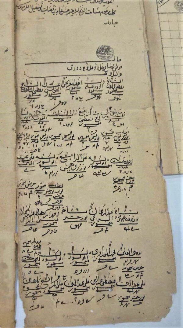 مضبوطات مصرية - سبوتنيك عربي