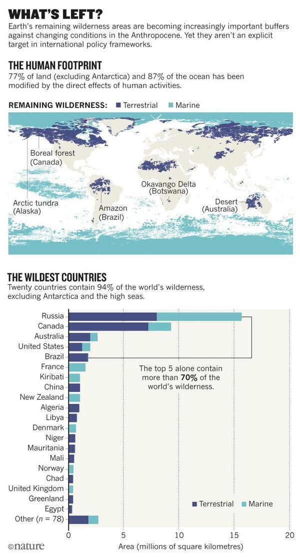 المناطق البرية في العالم - سبوتنيك عربي