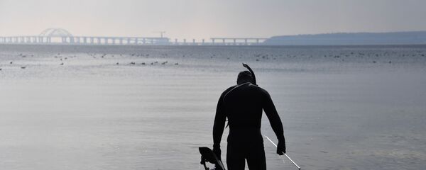 غواص - سبوتنيك عربي
