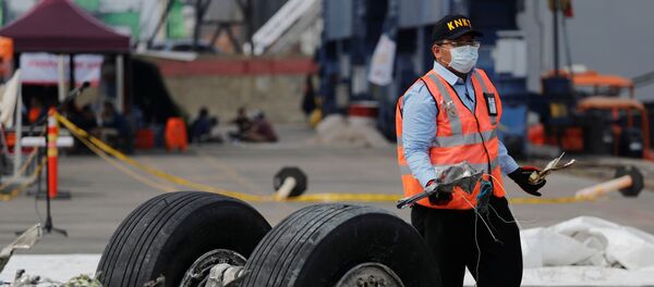 عامل إنقاذ يحمل حطاما من الطائرة الإندونيسية المنكوبة، 4 نوفمبر/تشرين الثاني 2018 عامل إنقاذ يحمل حطاما من الطائرة الإندونيسية المنكوبة، 4 نوفمبر/تشرين الثاني 2018 - سبوتنيك عربي