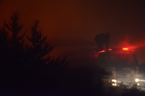 حميميم شاركت بإخمادها... النيران تلتهم أحراش ريفي اللاذقية وطرطوس - سبوتنيك عربي