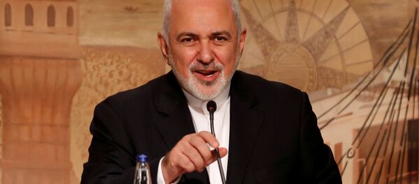 وزير الخارجية الإيراني جواد ظريف - سبوتنيك عربي