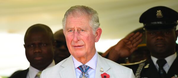 ولي عهد بريطانيا الأمير تشارلز ولي عهد بريطانيا الأمير تشارلز - سبوتنيك عربي