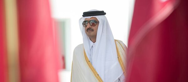 أمير قطر تميم بن حمد آل ثاني - سبوتنيك عربي
