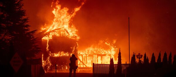 حريق في غابات كاليفورنيا  - سبوتنيك عربي