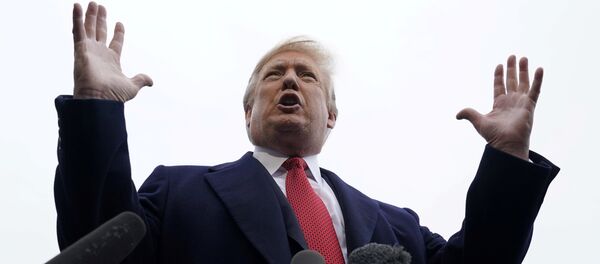 الرئيس الأمريكي دونالد ترامب - سبوتنيك عربي