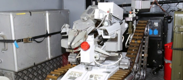 روبوت إر دي-إر خي إر روبوت إر دي-إر خي إر - سبوتنيك عربي