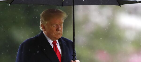 الرئيس الأمريكي دونالد ترامب - سبوتنيك عربي