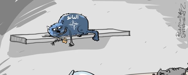 ستولتنبرغ: حلف الناتو غير مسؤول عما حدث في ليبيا - سبوتنيك عربي