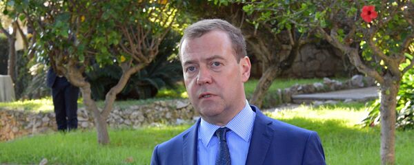 رئيس الحكومة الروسية دميتري ميدفيديف - سبوتنيك عربي