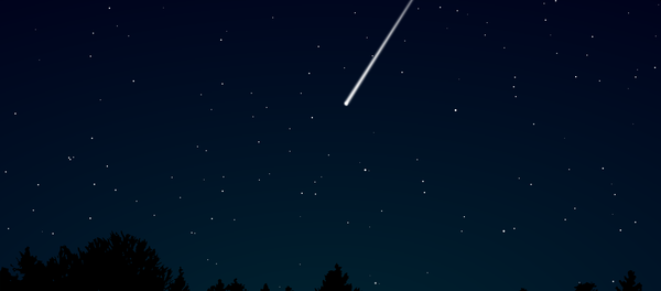 زخة شهب - سبوتنيك عربي