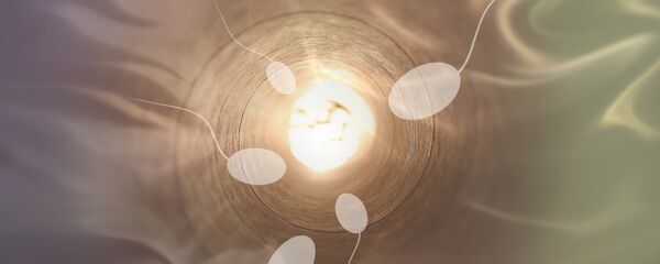 الحيوانات المنوية - سبوتنيك عربي