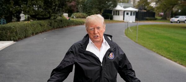 الرئيس دونالد ترامب - سبوتنيك عربي