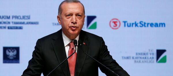 الرئيس التركي رجب طيب أردوغان الرئيس التركي رجب طيب أردوغان - سبوتنيك عربي