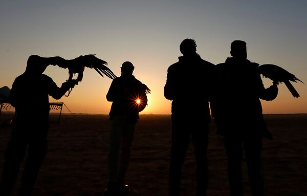 أعضاء نادي إيجي فالكونر ومشجعوهم ينظرون إلى شروق الشمس خلال الاحتفال باليوم العالمي للصقارة في صحراء برج العرب بالإسكندرية - سبوتنيك عربي
