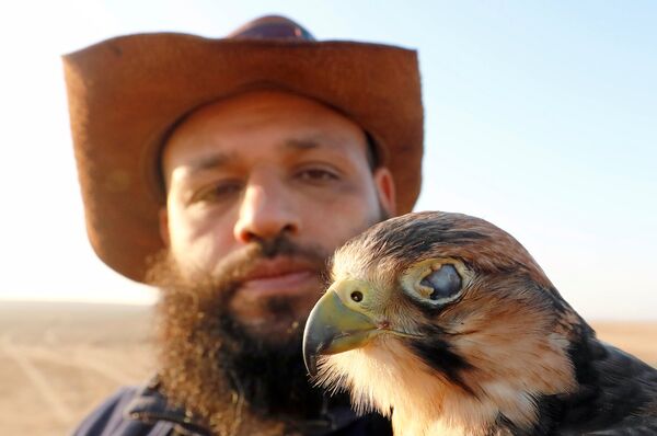 محمد موافي عضو في نادي مصر فالكونر يحمل صقرًا مصابًا في عينه اليمنى خلال الاحتفال باليوم العالمي لصيد الصقور في صحراء برج العرب في الإسكندرية - سبوتنيك عربي
