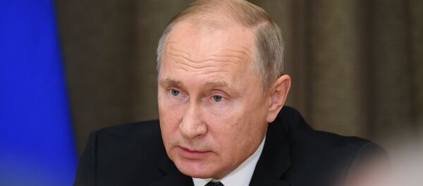 الرئيس الروسي فلاديمير بوتين - سبوتنيك عربي