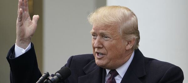 الرئيس الأمريكي دونالد ترامب خلال استضافته حفل عيد الشكر الوطني للديوك الرومي في البيت الأبيض في واشنطن، 20 نوفمبر/تشرين الثاني 2018 - سبوتنيك عربي