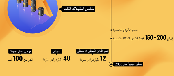 مشروع الطاقة الشمسية 2030 السعودي - سبوتنيك عربي