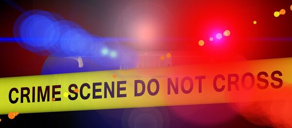 الشرطة الشرطة - سبوتنيك عربي