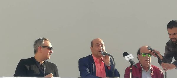 حسن حسني - سبوتنيك عربي