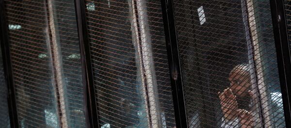 الإخوان المسلمين - سبوتنيك عربي