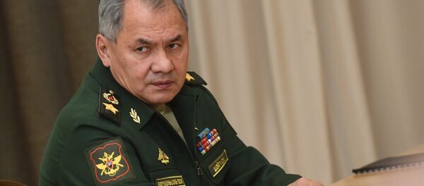 وزير الدفاع الروسي سيرغي شويغو، 19 نوفمبر/ تشرين الثاني 2018 - سبوتنيك عربي