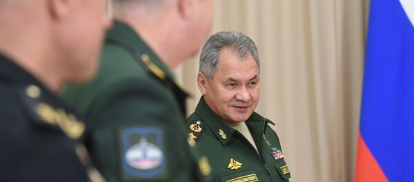 وزير الدفاع الروسي سيرغي شويغو، 19 نوفمبر/ تشرين الثاني 2018 - سبوتنيك عربي