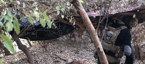 أحد قادة داعش يدلي عن مكان نمو التنظيم في العراق - سبوتنيك عربي