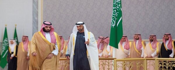 ولي عهد أبو ظبي محمد بن زايد يستقبل ولي العهد السعودي الأمير محمد بن سلمان - سبوتنيك عربي