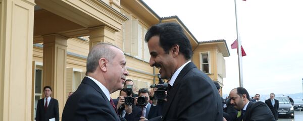 الرئيس التركي رجب طيب أردوغان يستقبل أمير قطر الشيخ تميم بن حمد آل ثاني لدى وصوله لاجتماع في اسطنبول، 26 نوفمبر/تشرين الثاني 2018 - سبوتنيك عربي