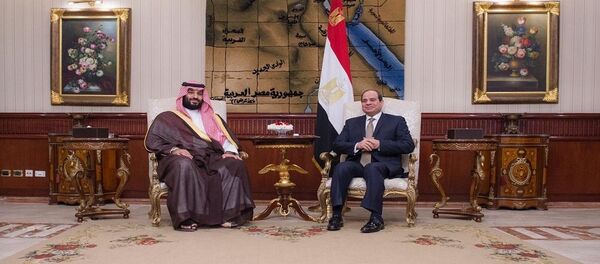 الرئيس المصري عبد الفتاح السيسي يستقبل ولي العهد السعودي الأمير محمد بن سلمان الرئيس المصري عبد الفتاح السيسي يستقبل ولي العهد السعودي الأمير محمد بن سلمان - سبوتنيك عربي