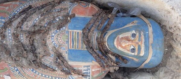 تابوت تم اكتشافه حديثا في مصر - سبوتنيك عربي