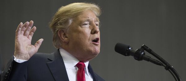 الرئيس الأمريكي دونالد ترامب - سبوتنيك عربي