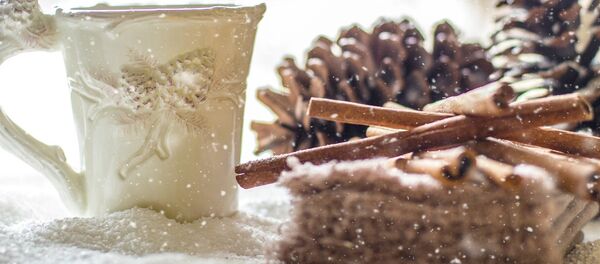 الشتاء الشتاء - سبوتنيك عربي