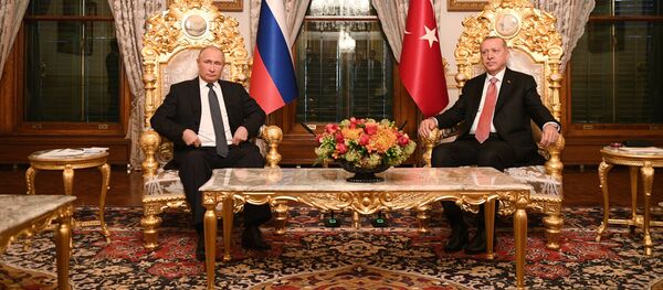 الرئيس الروسي فلاديمير بوتين يلتقي بالرئيس التركي رجب طيب أردوغان في اسطنبول، 19 نوفمبر/ تشرين الثاني 2018 - سبوتنيك عربي