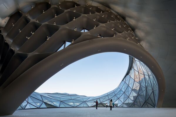 صورة لدار الأوبرا الصينية في هاربن، للمصور باول بانيتشكو، الفائزة في فئة بورتفوليو بالمسابقة - سبوتنيك عربي