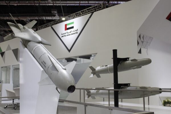 أسلحة إماراتية في إيديكس 2018 أسلحة إماراتية في إيديكس 2018 - سبوتنيك عربي