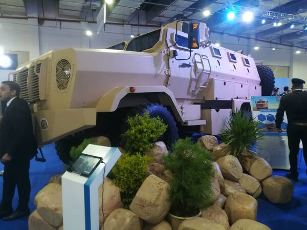 التمساح المصري - سبوتنيك عربي