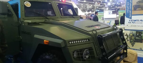 التمساح المصري التمساح المصري - سبوتنيك عربي