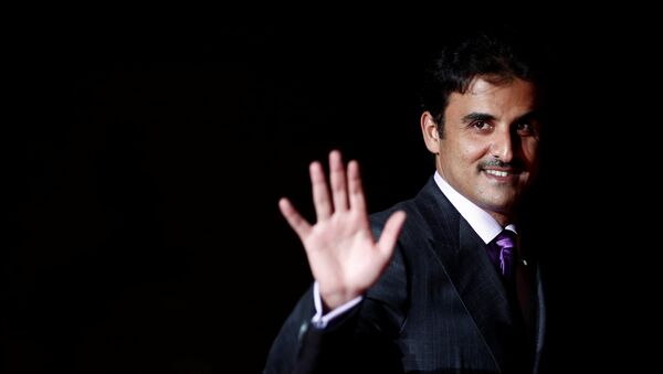 أمير قطر الشيخ تميم بن حمد آل ثاني - سبوتنيك عربي