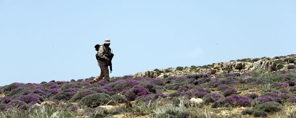 مقاتل من حزب الله اللبناني - سبوتنيك عربي