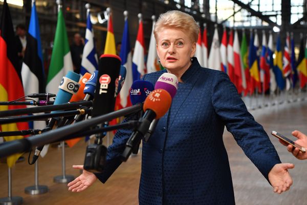 رئيسة ليتوانيا داليا غريباوسكايتيه - سبوتنيك عربي