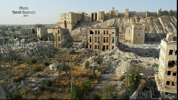 قلعة حلب - سبوتنيك عربي