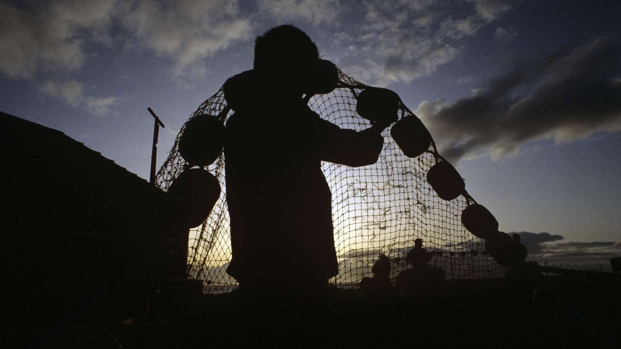 علماء يكشفون علاقة أمراض العيون بالمأكولات البحرية النيئة