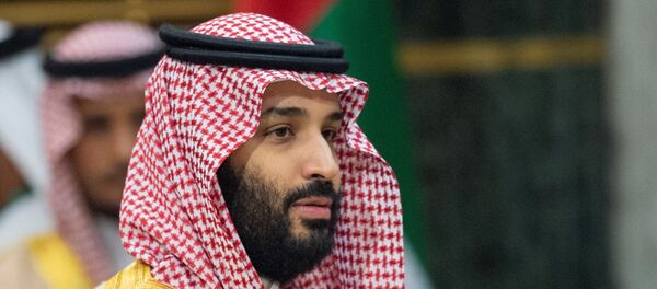 ولي العهد السعودي الأمير محمد بن سلمان - سبوتنيك عربي