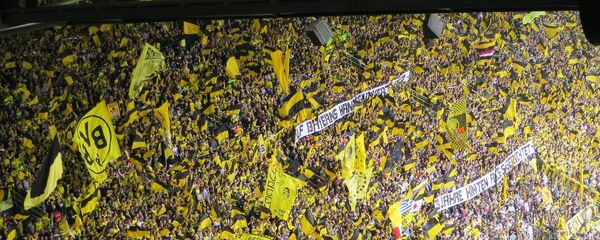 جماهير دورتموند - سبوتنيك عربي